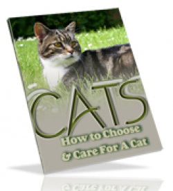 Book cover with a cat and text 'How to Choose & Care For A Cat' on a grassy background