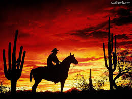 Silhouette of a person riding a horse against a vibrant sunset with cacti in the foreground.