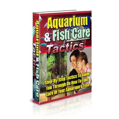 Aquarium Fish Care Tactics