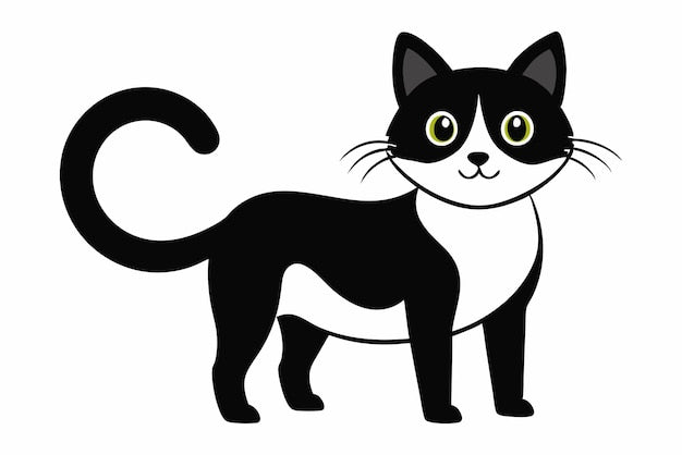 How to Choose and Care for a Cat