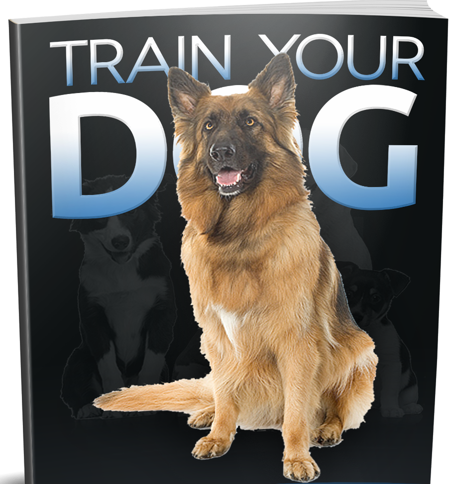 Book titled 'Train Your Dog' with a German Shepherd on the cover
