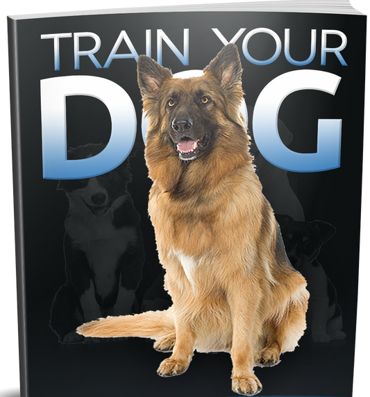 Book titled 'Train Your Dog' with a German Shepherd on the cover