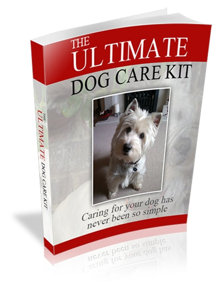 Dog care kit box with small dog photo and red-and-gray packaging